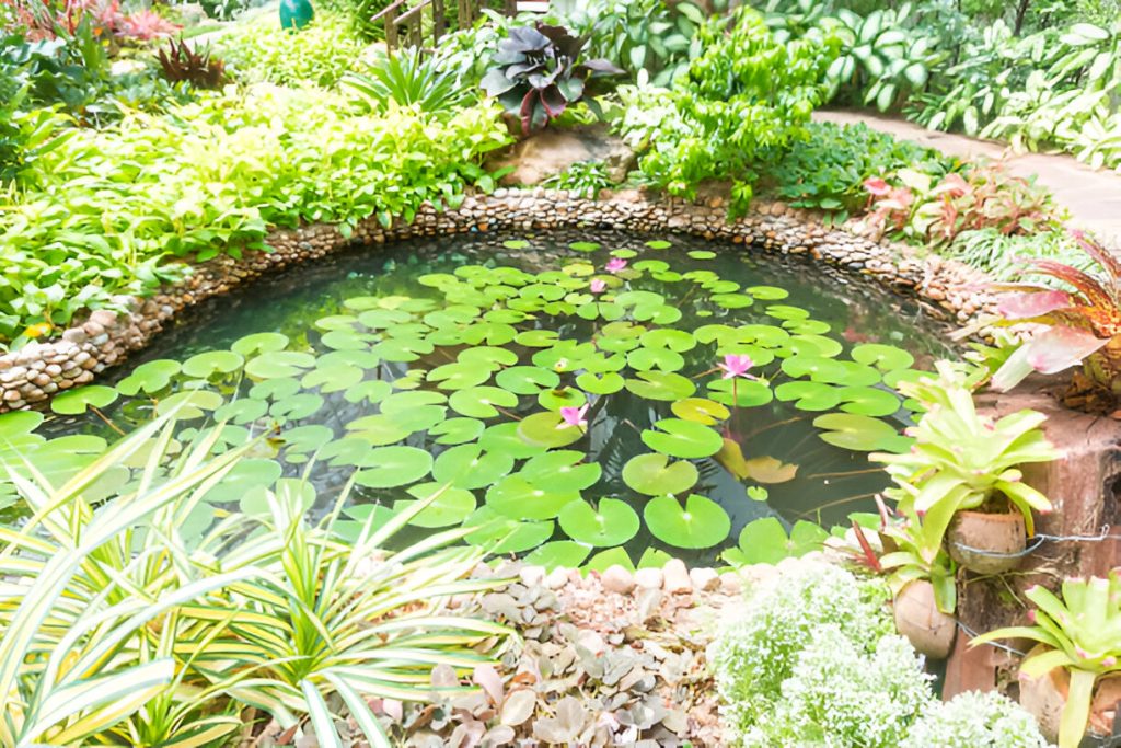 Dreaming of a Wildlife Pond Your Step-by-Step Guide pond equipment.
